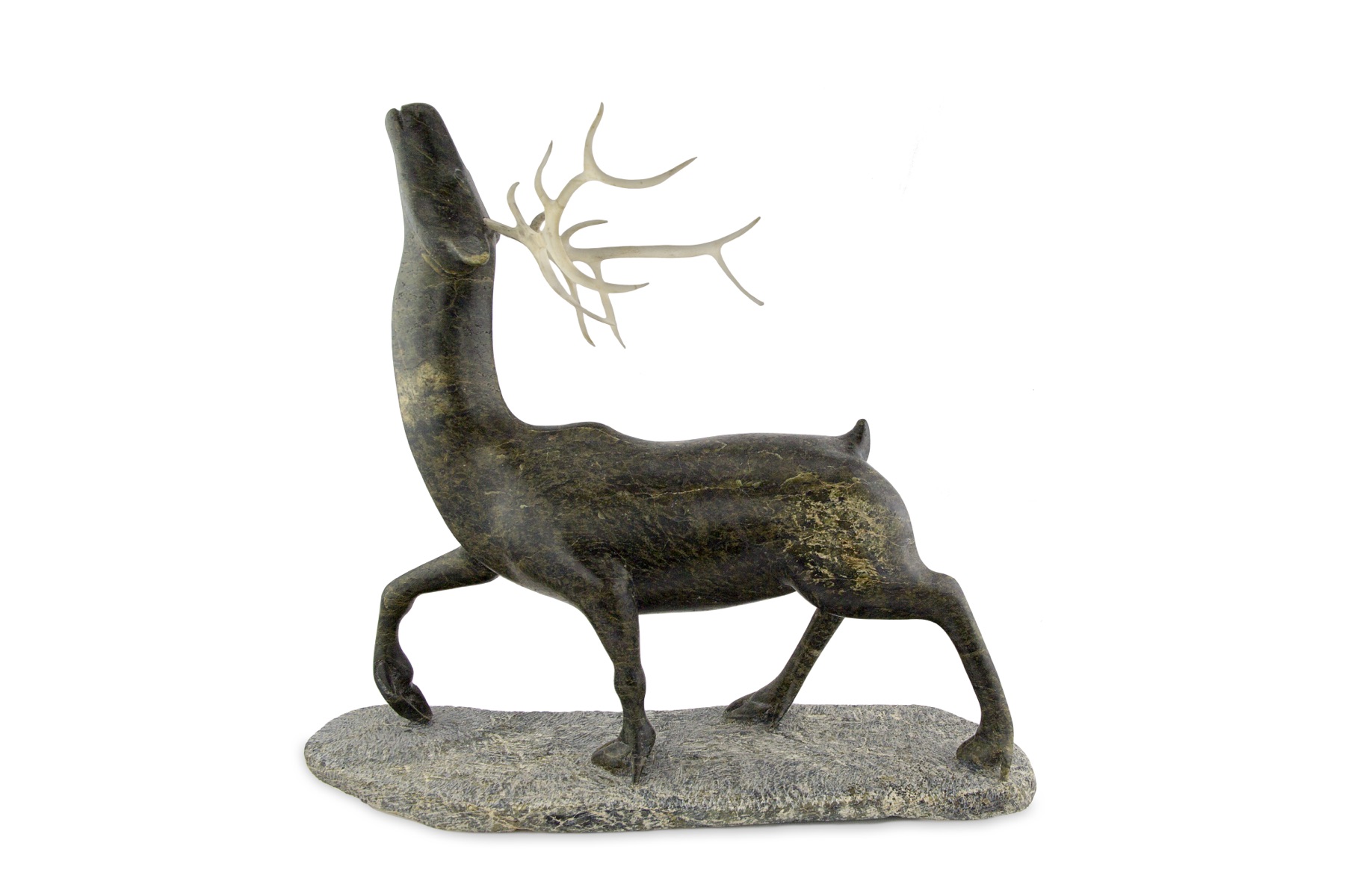 Ipeellee-Osuitok — Caribou